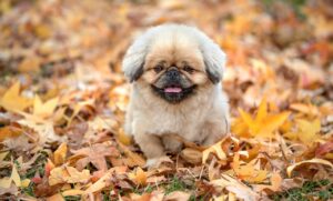 制汗剤によるかぶれを防ぐための対策は？