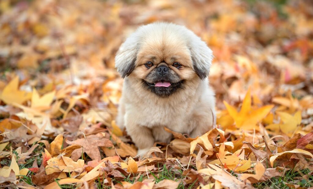 重曹ワキガの効果的な対策方法は？