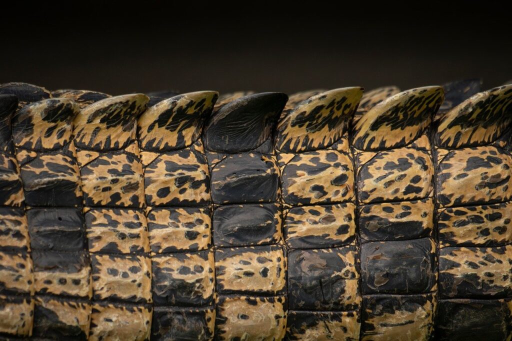 敏感肌の人が気をつけるべきワキガの洗い残しによる匂いの原因は？