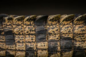 敏感肌の人が気をつけるべきワキガの洗い残しによる匂いの原因は？