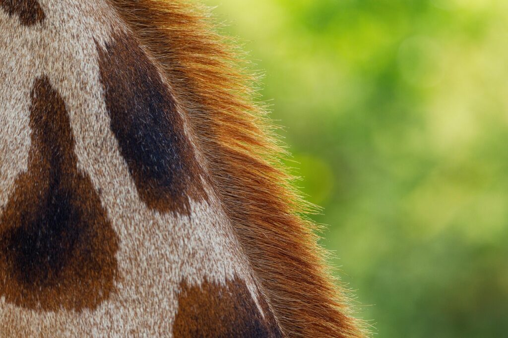 敏感肌の人がワキガ治療を受ける際の医療広告ガイドラインに関する注意点は？