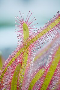 ワキガに関する知識をまとめて理解するためのポイントは？