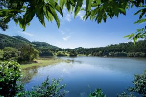 ワキガの失敗体験から学ぶ、効果的な対策は何？